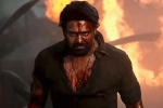 PVR and INOX latest, PVR and INOX degrading act, pvr and inox degrading act on salaar, Hanu raghavapudi