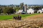 Pennsylvania Farmers, Trade War, pennsylvania farmers anxiously keep an eye on u s china trade war, China u s trade war Pennsylvania Farmers, Trade War, pennsylvania farmers anxiously keep an eye on u s china trade war, China u s trade war