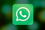 social media, WhatsApp, why are people leaving whatsapp here s why, Messaging app
