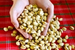 Pistachios rich in proteins, Pistachios rich in proteins, pistachios are a perfect protein snack, Vitamin