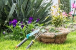 Plants that attract Snakes names, Plants that attract Snakes research, five plants that attract snakes at home, Tresses