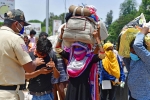 migrant workers, covid-19, plight of migrant workers baby shakes to wake up deceased mother, Labourers