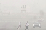 Cardio And Respiratory Problems, Pollution Spike, pollution spikes cardio and respiratory problems, Greenhouse