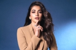 Pooja Hegde Hindi, Pooja Hegde remuneration, pooja hegde lines up bollywood films, Cup