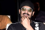 Prabhas and Maruthi Film shoot updates, Prabhas, prabhas next film launched, A maruthi film