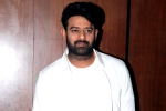 Prabhas, Maruthi, two beauties locked to romance prabhas, A maruthi film