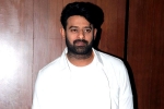 Prabhas and Maruthi film, Prabhas film updates, two beauties locked to romance prabhas, Niddhi agerwal