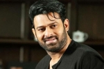 Prabhas Project K latest, Prabhas Project K latest, prabhas to join project k from november, C ashwini dutt