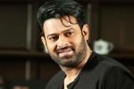 Prabhas Project K new updates, Prabhas Project K new updates, prabhas to join project k from november, C ashwini dutt