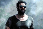 Prabhas Salaar villain, Prithviraj Sukumaran, prabhas salaar to have malayalam star, Shruthi haasan
