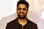 Prabhas Vintage King business, Prabhas, interesting title for prabhas next, Maruthi