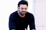 Prabhas updates, Prabhas next movie, prabhas to return back to work, C ashwini dutt