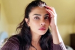 Priyanka Chopra statement, Priyanka Chopra statement, priyanka chopra breaks silence on don t look for virgin wife comment, Ease 4 0