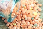 Guy Gallant, Pulse Canada, india rejects extension on pulse imports from canada, Ozone layer Guy Gallant, Pulse Canada, india rejects extension on pulse imports from canada, Ozone layer