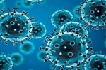 USA, USA, r 1 variant of coronavirus traced in 35 countries, Coronavirus usa