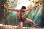 NTR for RRR, NTR for RRR, rrr 22 days collections, Shriya saran