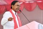 KCR, Congress, rahul gandhi a biggest buffon of the country kcr, Trs chief KCR, Congress, rahul gandhi a biggest buffon of the country kcr, Trs chief