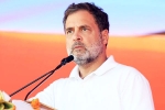 Rahul Gandhi defeat, Rahul Gandhi defeat, rahul gandhi responds about bihar elections defeat, Congress leader rahul gandhi Rahul Gandhi defeat, Rahul Gandhi defeat, rahul gandhi responds about bihar elections defeat, Congress leader rahul gandhi