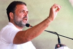 Rahul Gandhi new constituency, Rahul Gandhi new constituency, rahul gandhi to contest from wayanad, Thiruvananthapuram