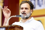 Congress, Rahul Gandhi updates, rahul gandhi promises to fill 30 lakh government jobs, Rahul gandhi