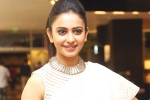 Rakul Preet Singh next, Nithiin, rakul preet s multi starrer, Actress rakul preet singh