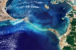 Ram Setu pictures latest, Ram Setu pictures space, ram setu s pictures from the space, Birds