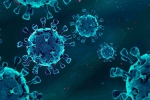 Coronavirus HKU1 breaking, Coronavirus HKU1, rare human coronavirus found in kolkata woman, Covid 19