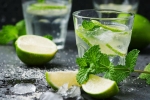 Virgin mojito, recipe, recipe of virgin mojito, Ice cubes