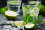 non- alcoholic, Virgin mojito, recipe of virgin mojito, Mojito