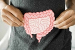 Restore your Gut Health food, Restore your Gut Health tips, natural ways to restore your gut health, Restore your gut health Restore your Gut Health food, Restore your Gut Health tips, natural ways to restore your gut health, Restore your gut health