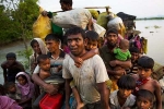 rohingyas in India, Rohingya, supreme court allows deportation of 7 rohingyas to myanmar, Prashant bhushan