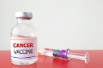 Russia Cancer Vaccine latest, Russia Cancer Vaccine latest, russia claims cancer vaccine discovery oncologists sceptical, Artemis