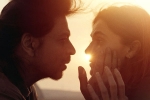 Dunki expectations, Dunki action, srk s dunki to be high on violence, Rajkumar hirani p k