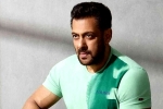 Salman Khan or Acharya, Lucifer Remake, salman khan coming for chiranjeevi and charan, Lucifer remake