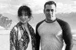 Salman Khan news, Salman Khan, salman khan s next heroine finalized, Salman khan productions