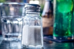 table salt, potassium ferrocyanide levels in Sambhar Refined Salt, your table salt may contain poison claims activist, Table salt
