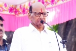 Sharad Pawar party, Sharad Pawar party, sharad pawar to retire from politics, Maharashtra politics