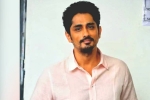 Siddharth movies, Siddharth films, siddharth faces backlash on twitter, Saina nehwal