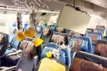 Singapore Airlines breaking, Singapore Airlines accident, singapore airlines statement after turbulence horror, Boeing 777 Singapore Airlines breaking, Singapore Airlines accident, singapore airlines statement after turbulence horror, Boeing 777
