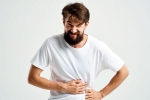 Stomach Problems in Summer breaking updates, Stomach Problems in Summer tips, how to keep your stomach happy in summer, Yogurt