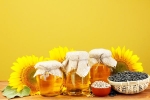Sunflower Oil new updates, Sunflower Oil benefits, long term effects of consuming sunflower oil on heart health, High temperatures
