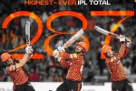 Sunrisers Hyderabad highest score, Sunrisers Hyderabad in IPL 2024, sunrisers hyderabad scripts history in ipl, Career