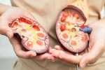 Supplements to Avoid for liver problems, Supplements to Avoid in India, supplements to avoid if you have kidney and liver problems, Weight gain Supplements to Avoid for liver problems, Supplements to Avoid in India, supplements to avoid if you have kidney and liver problems, Weight gain