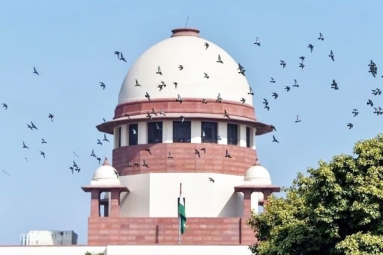Supreme Court says watching, storing Child Pornography is a Crime