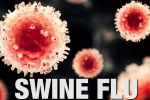 Symptoms of swine flu, same as seasonal flu, swine flu detected in maryland fair, Swine flu