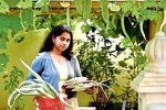 NRI, nris in gardening, this nri in qatar keen on farming is going green, Leftover food