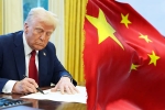Trump for Chinese students news, Trump for Chinese students breaking, trump opens us doors to 6 lakh chinese students, Betrayal