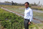 uttar pradesh, national centre of organic farming recruitment, this u s return mba graduate is transforming a village barren land into an organic farming facility, Organic farming uttar pradesh, national centre of organic farming recruitment, this u s return mba graduate is transforming a village barren land into an organic farming facility, Organic farming