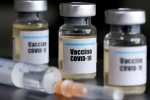 US biotech, vaccine, us biotech firm sees promising results with covid 19 vaccine, Moderna inc