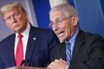 covid-19, Donald Trump, us could start reopening in may anthony fauci, Andrew cuomo covid-19, Donald Trump, us could start reopening in may anthony fauci, Andrew cuomo